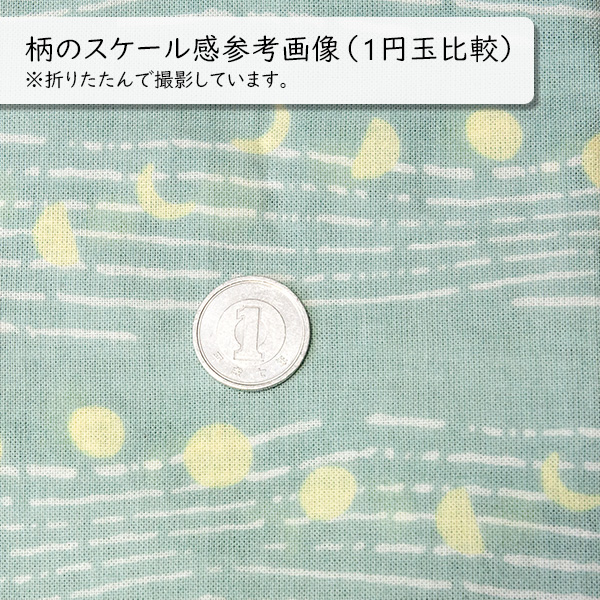 柄のスケール感参考用に1円玉と一緒に撮影した写真です